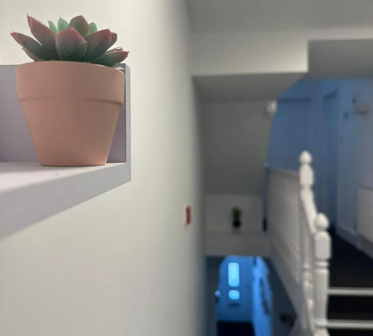 招待所 Cambridge Central Rooms - Tas Accommodations